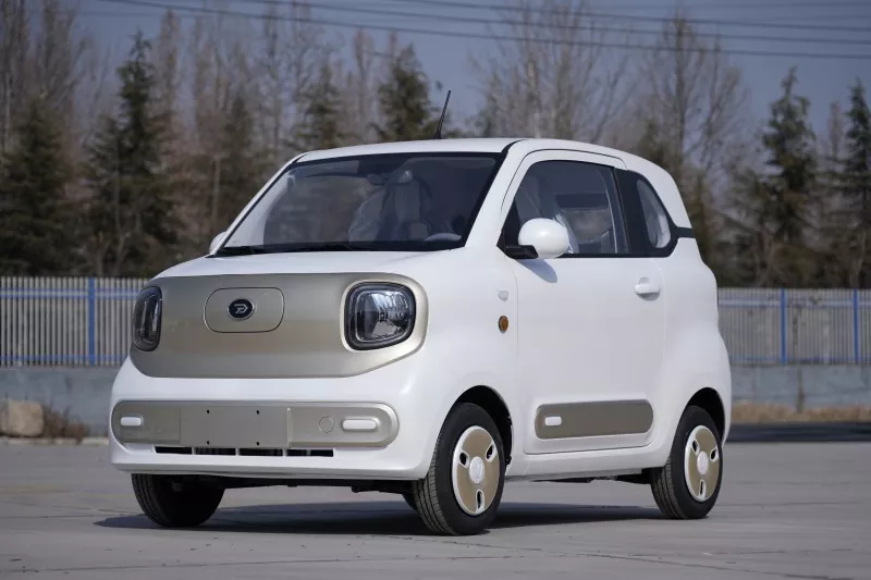 EEC Coc Electric Mini Car